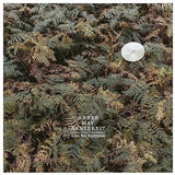 Annenmaykantereit - Alles nix konkretes (LP)