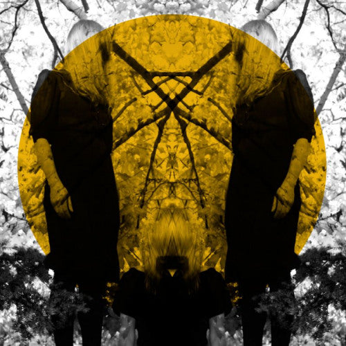 Austra - Feel it break (LP)