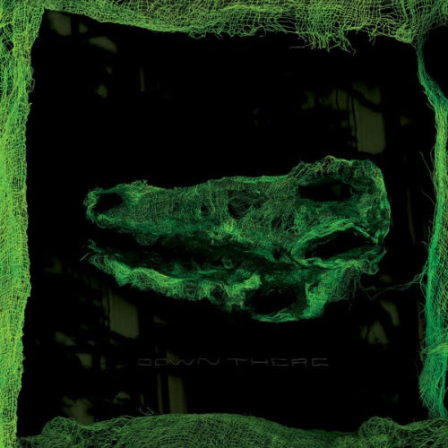 Avey Tare - Down there (CD)