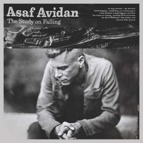 Asaf Avidan - Study on falling (CD)