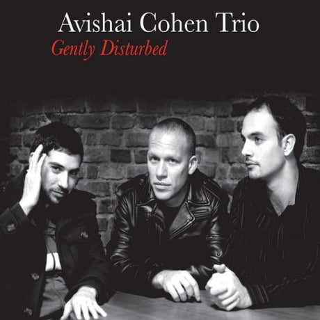 Avishai Cohen Trio - Gently disturbed (CD)