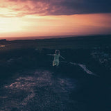 A Blaze Of Feather - A blaze of feather (LP)