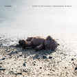 Airbag - A day in the studio / unplugged in oslo -lp+dvd- (LP) - Velvet Music