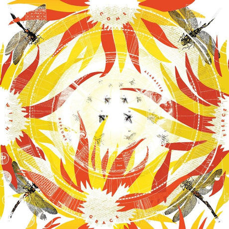 Alabaster DePlume - Come with fierce grace (LP) - Velvet Music