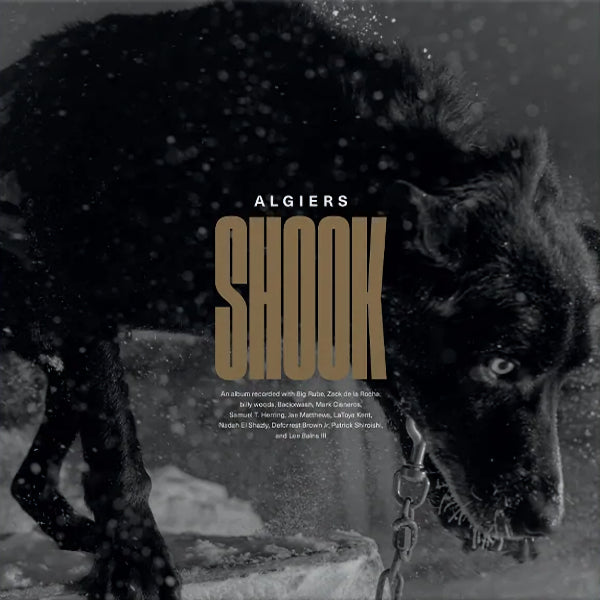 Algiers - Shook (LP)