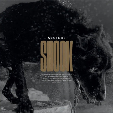 Algiers - Shook (LP)