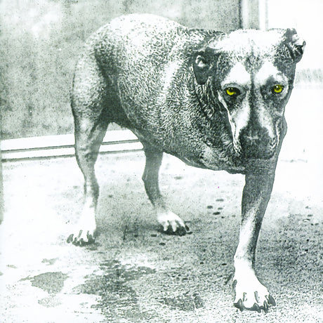 Alice In Chains - Alice in chains (CD)