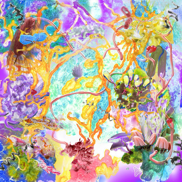 Amatorski - Curves And Bends, Things Veer (CD)