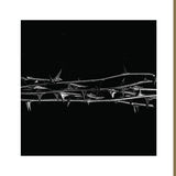 Amenra - De doorn (CD)