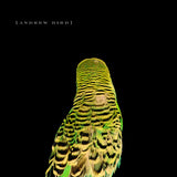 Andrew Bird - Armchair apocrypha (CD)
