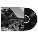 Andrew Bird - Outside problems (LP)