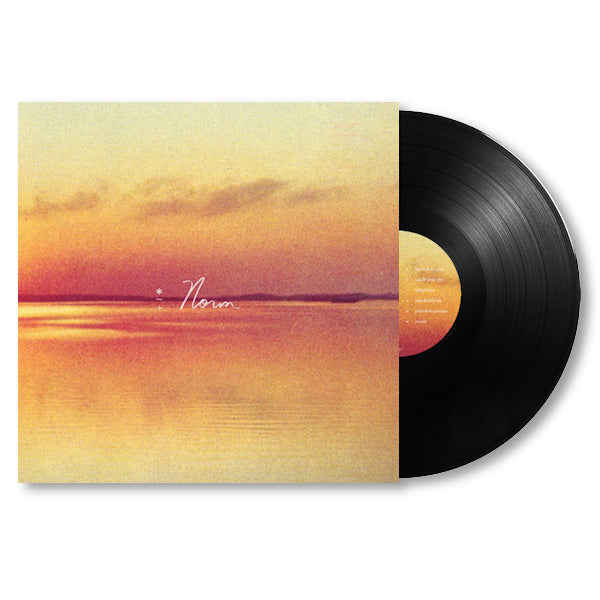 Andy Shauf - Norm (LP)