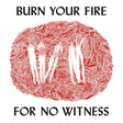 Angel Olsen - Burn your fire for no witness (CD)