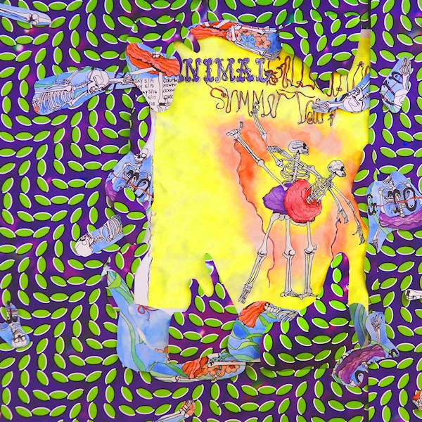 Animal Collective - Ballet slippers (LP)