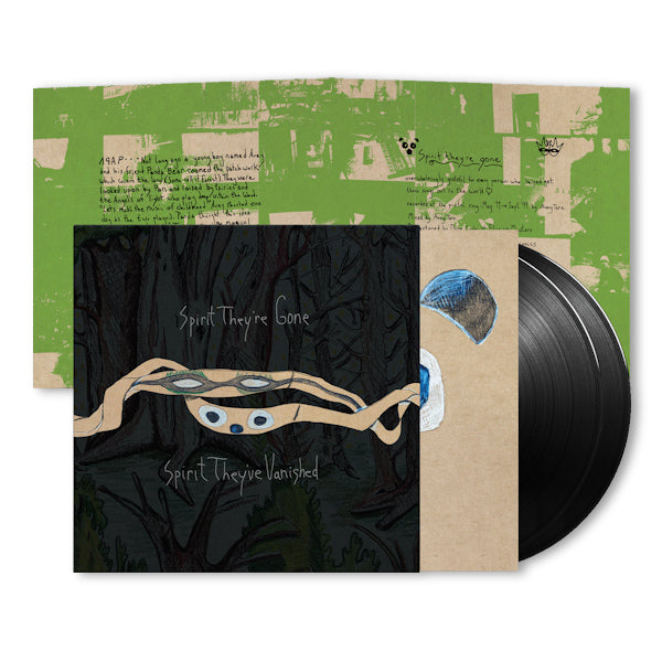 Animal Collective - Spirit they're gone, spirit they've vanished (LP) - Velvet Music
