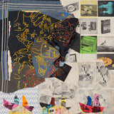 Animal Collective - Time skiffs (CD)