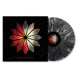 Archetypes Collide - Archetypes collide (LP)