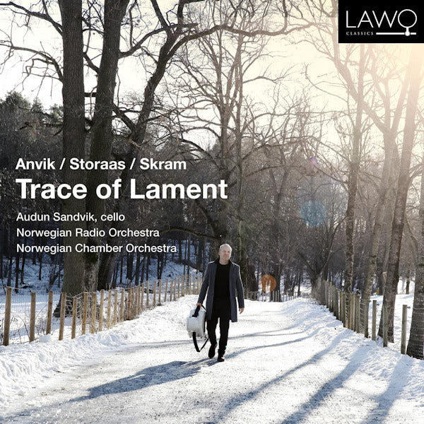 Audun Sandvik - Trace of lament (CD)