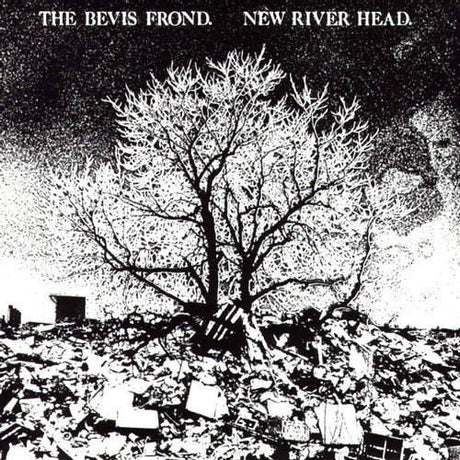 Bevis Frond - New river head (LP)