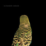 Andrew Bird - Armchair apocrypha (CD)