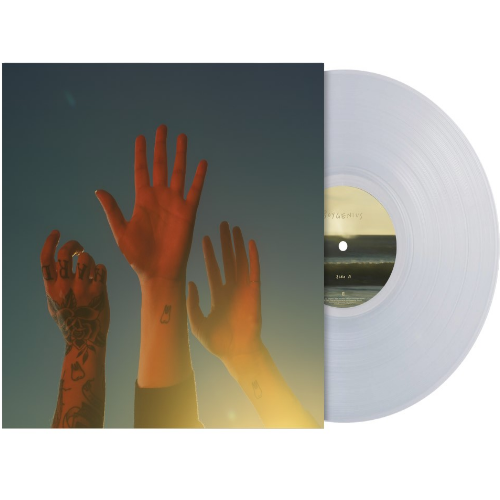 Boygenius - The record (LP)
