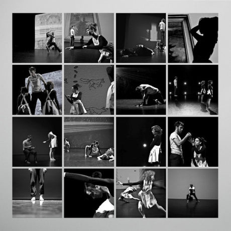 Peter Broderick - Music for falling from trees (LP)