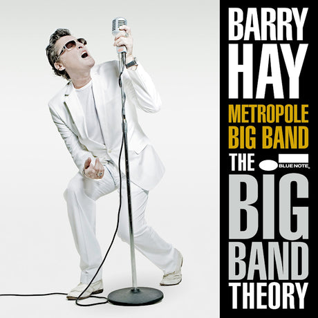 Baryy Hay & Metropole Big Band - The big band theory (LP)