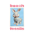 Beach Fossils - Bunny (CD)