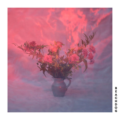 Beachdog - Beachdog (LP) - Velvet Music