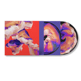 Bicep - Isles (LP)