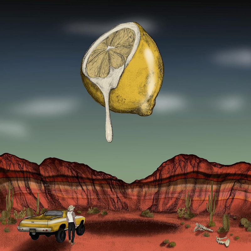 Bones Owens - Love out of lemons (CD)