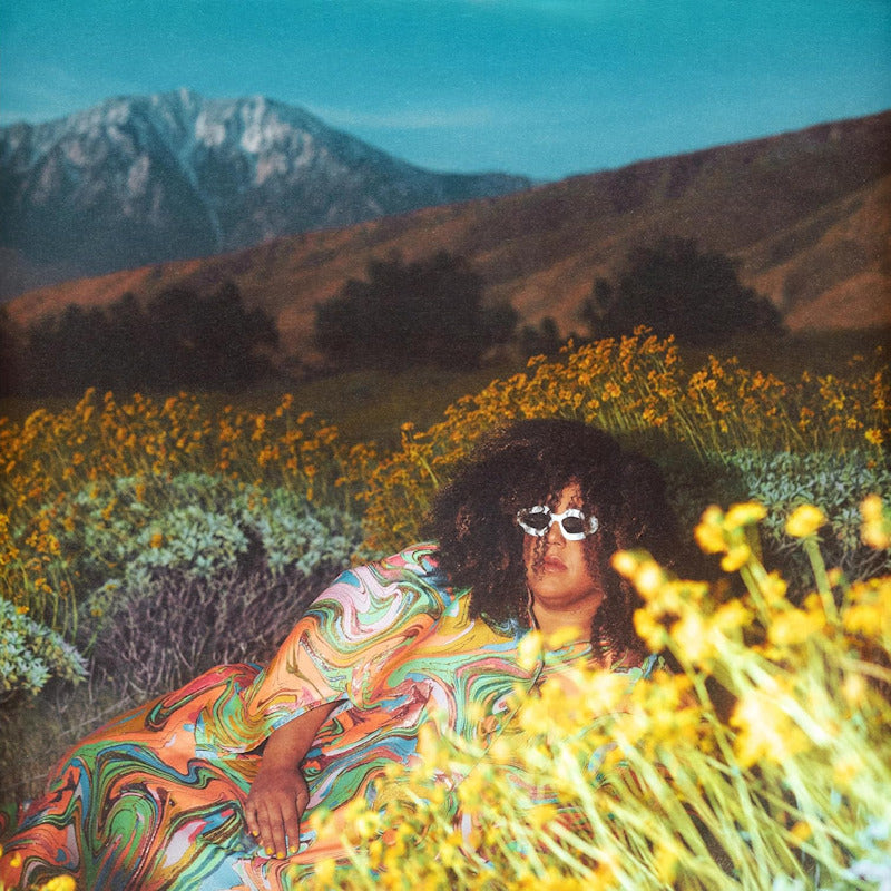 Brittany Howard - What now (LP) - Velvet Music