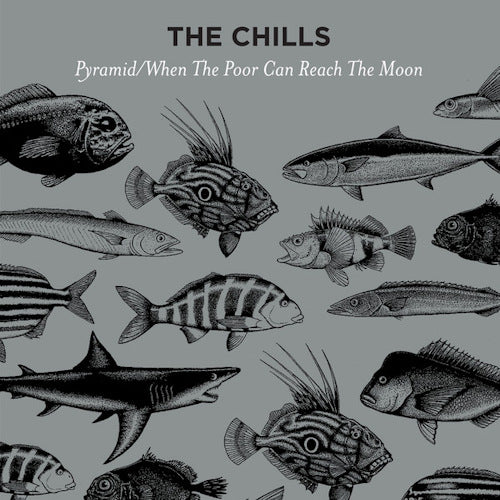 The Chills - Pyramid / when the poor can reach the moon (12-inch maxi-single)