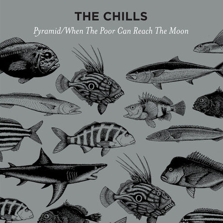 The Chills - Pyramid / when the poor can reach the moon (12-inch maxi-single)
