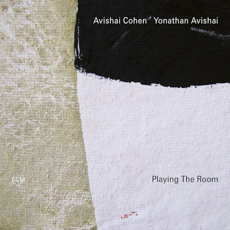 Avishai Cohen / Yonathan Avishai - Playing the room (LP)