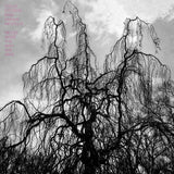 Colin Stetson - Never were the way she was (LP)