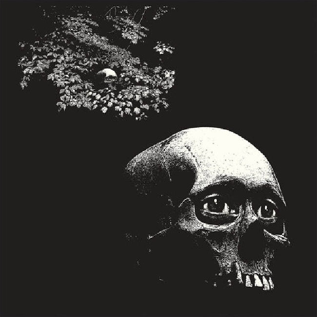 Osees - A foul form (LP)