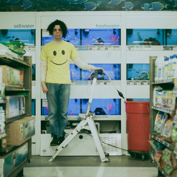 Charlie Hickey - Count the stairs (LP)