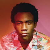 Childish Gambino - Because the internet (CD)