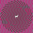 Deerhunter - Cryptograms/flourescent (LP)