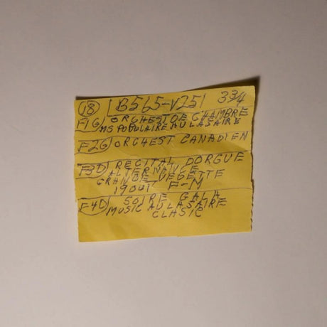 Mac DeMarco - Here comes the cowboy demos (LP)