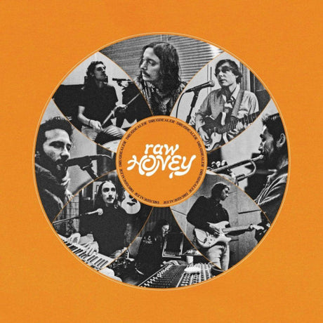 Drugdealer - Raw honey (CD)