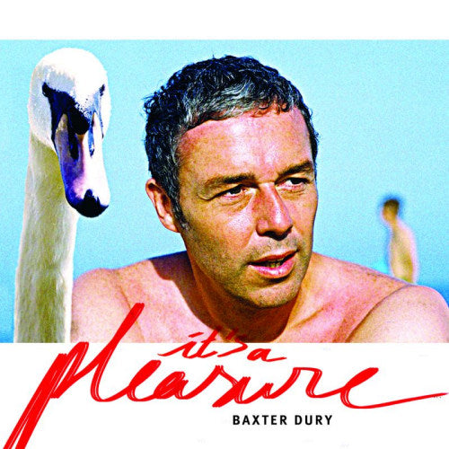 Baxter Dury - It's a pleasure (CD)