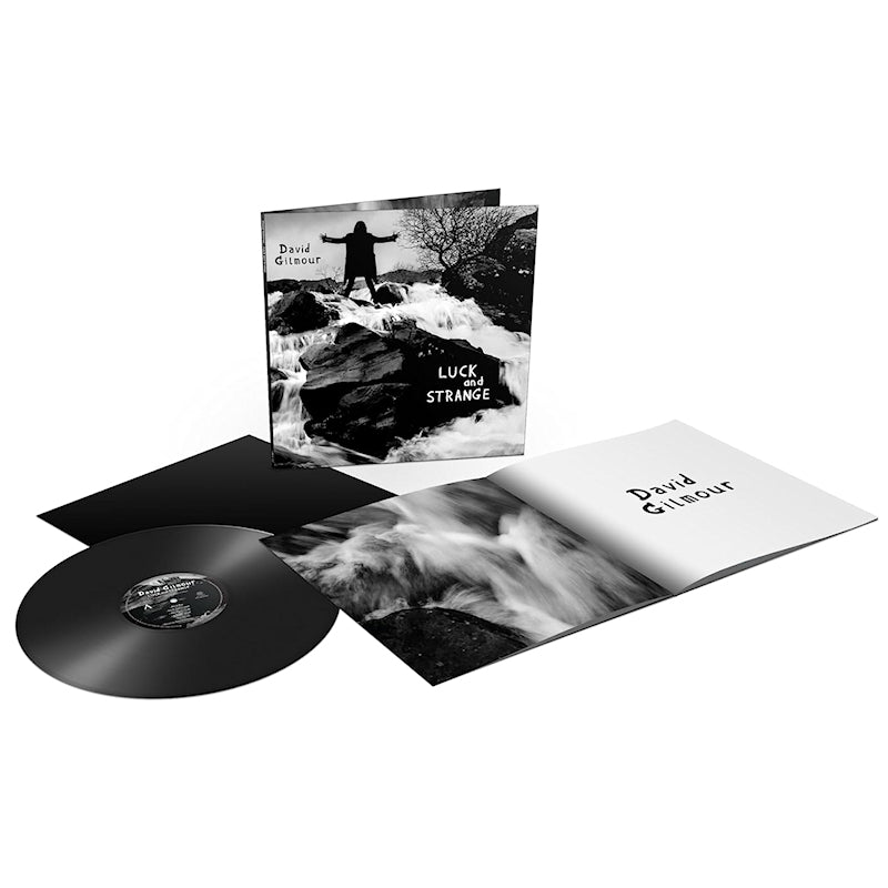 David Gilmour - Luck and strange (LP)