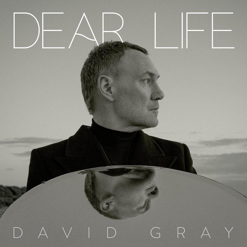 David Gray - Dear life (seaweed green vinyl) (LP)