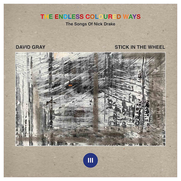 David Gray / Stick In The Wheel - Tthe endless coloured ways (12-inch maxi-single)
