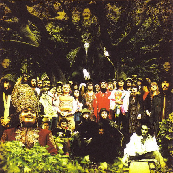 Devendra Banhart - Cripple crow (LP)
