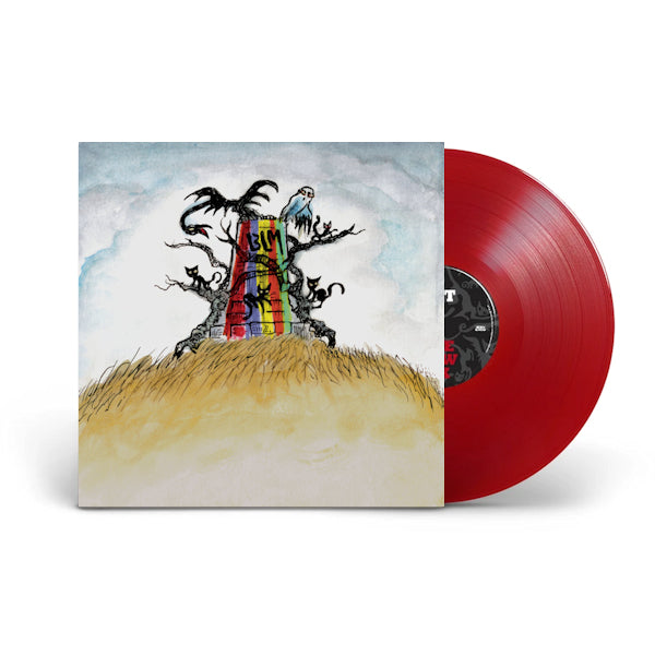 Drive-By Truckers - The new ok -coloured- (LP)