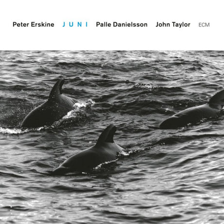 Peter Erskine -trio- - Juni (CD)