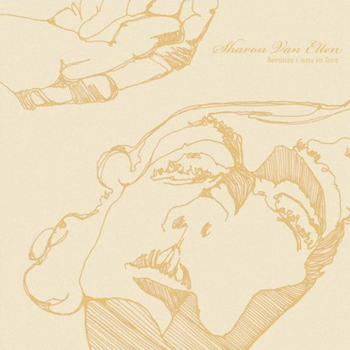 Sharon Van Etten - Because i was in love (LP)